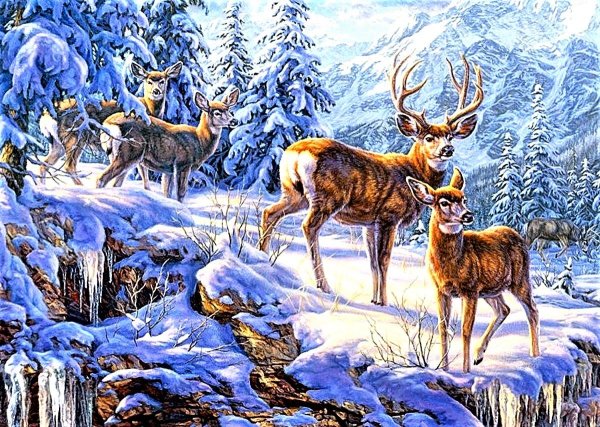 Castorland Puzzle 120 олени в лесу