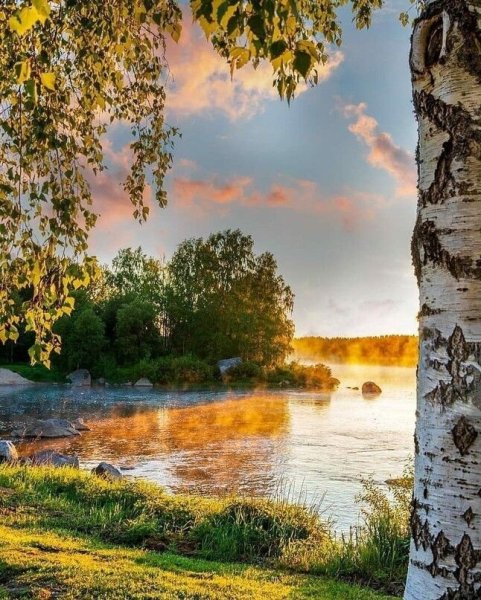 Доброе утро природа