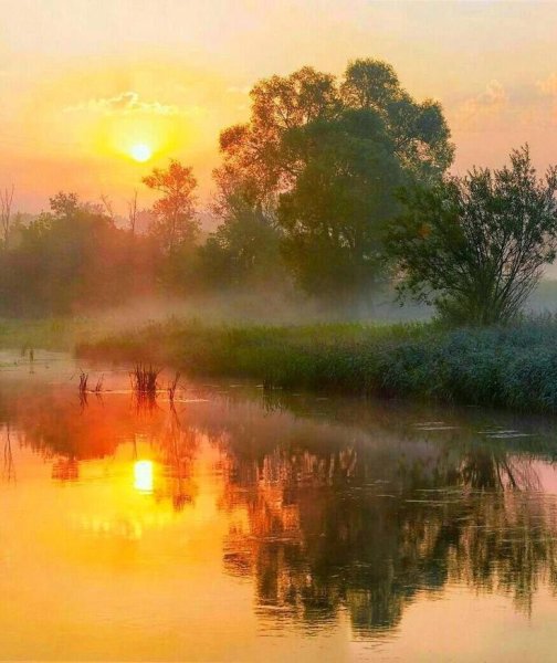 Природа рассвет