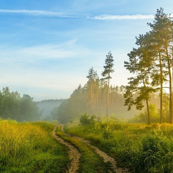 Мостки на озере