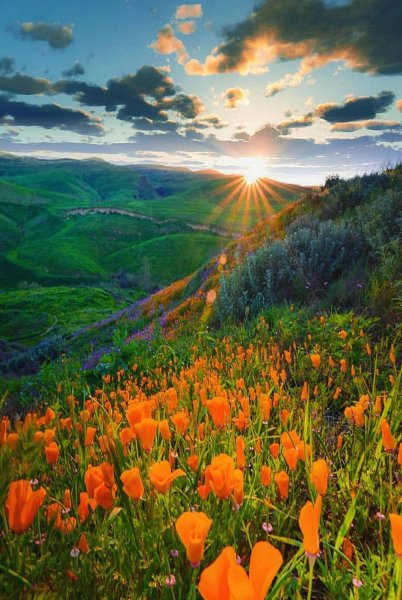 Красивая природа море