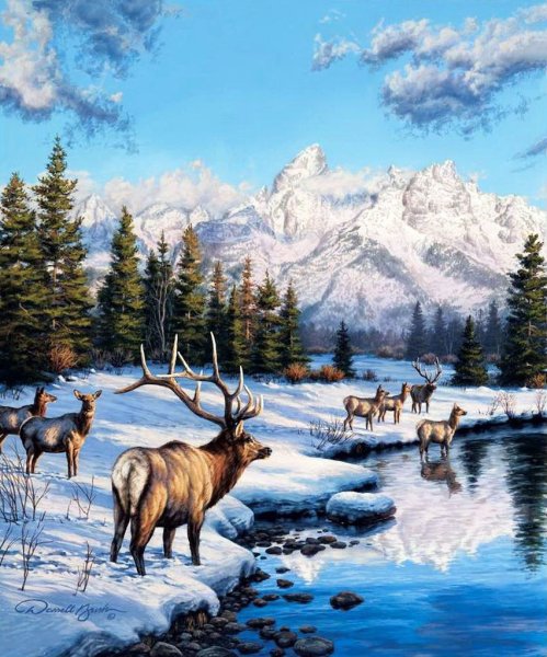 Художник Даррел Буш (Darrell Bush)