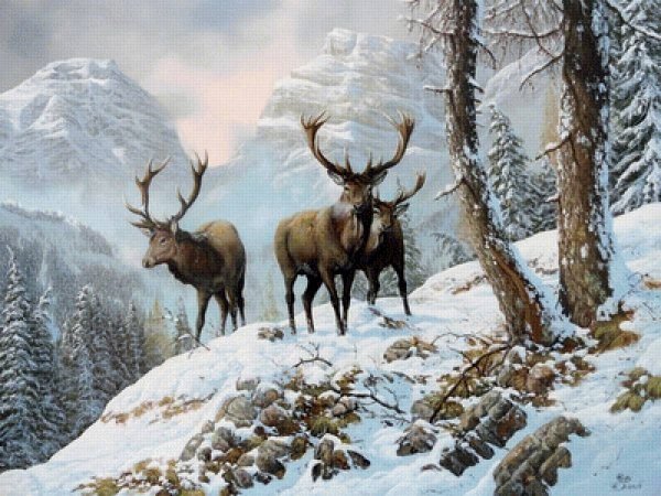 Художник Roberto Bianchi