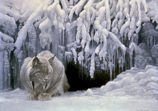 Роберт Бейтман Рысь