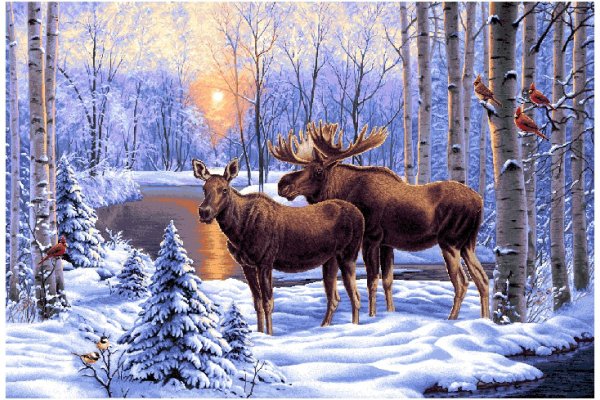 Лось в зимнем лесу