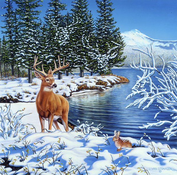 Сэм Тимм картины зима