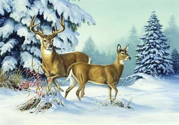 Художник Роберто Бианчи