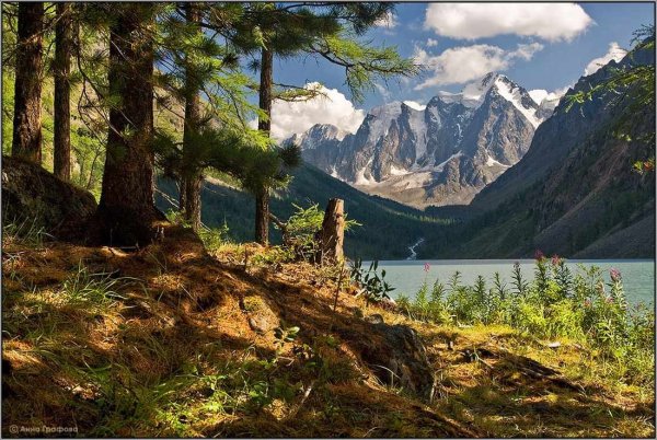 Пейзаж горного Алтая Алтая