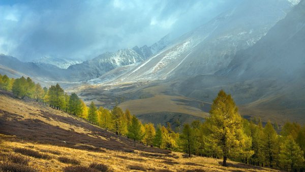 Курайская степь Республика Алтай