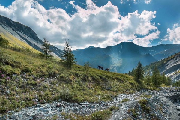 Гора Актру горный Алтай