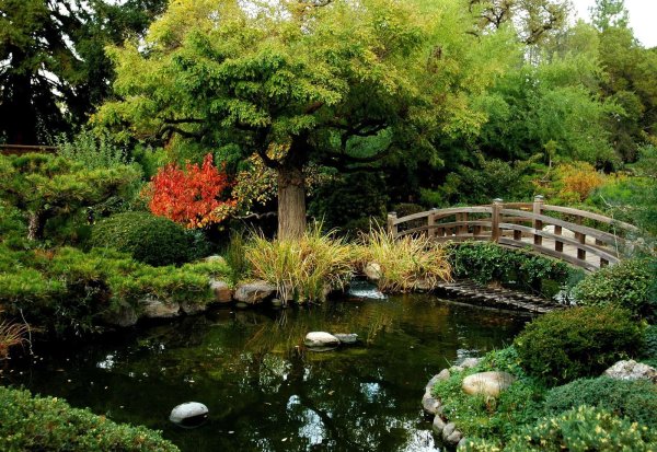 Хелен парк+ ландшафт