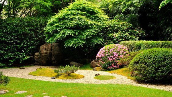 Хелен парк+ ландшафт