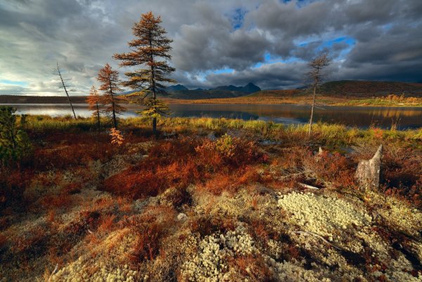 Колымская тундра