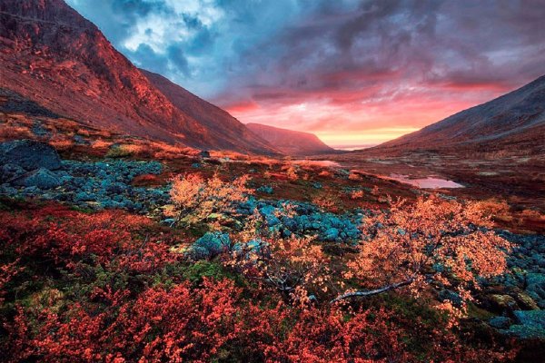 Кольский полуостров Хибины тундры