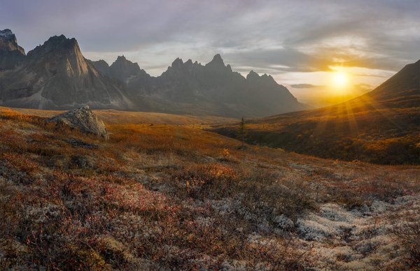 Природа Канады тундра