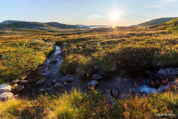Тундра Кольского полуострова