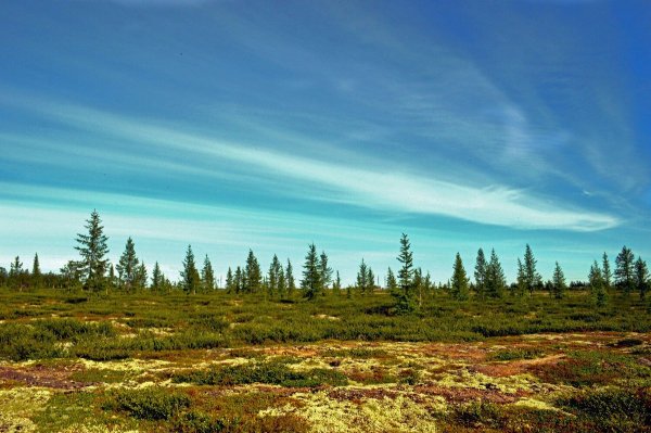 Кольский полуостров Хибины тундры