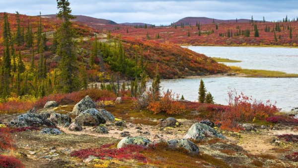 Магадан тундра