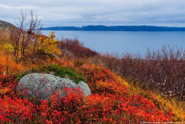Кольский полуостров Кандалакша