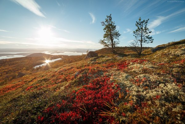 Субарктическая тундра ландшафт