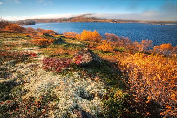 Осенняя тундра, национальный парк Денали, Аляска