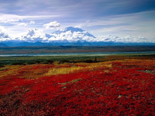 Тундра Кольского полуострова