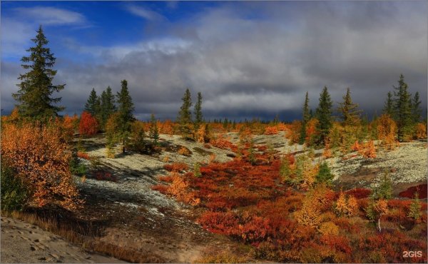 Ямало-Ненецкий автономный округ природа