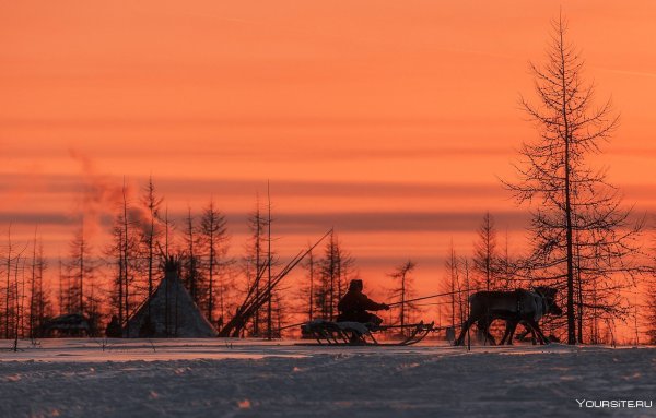 Ямало-Ненецкий автономный округ