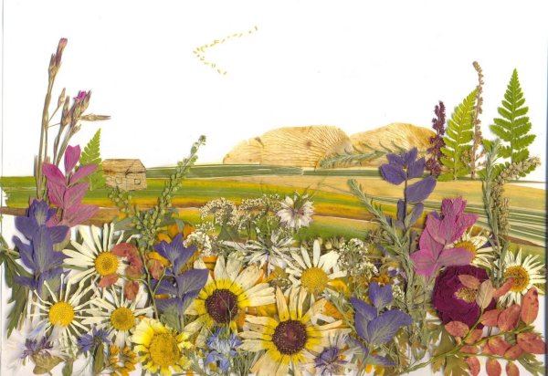 Флористические картины