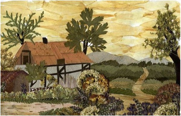 Китайская осибана