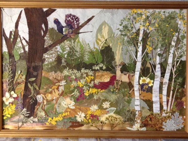 Ошибана (осибана)