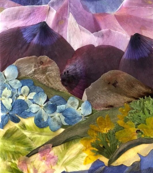 Ошибана Татьяна Бердник