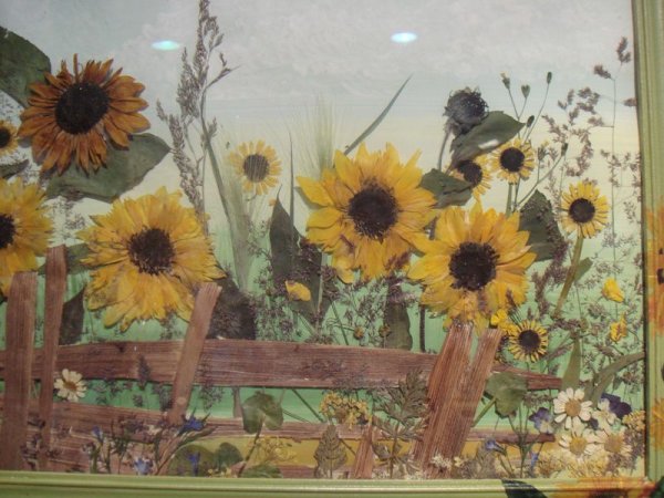 Ошибана аппликация из растений