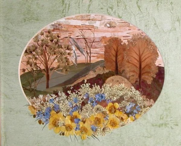 Ошибана горы