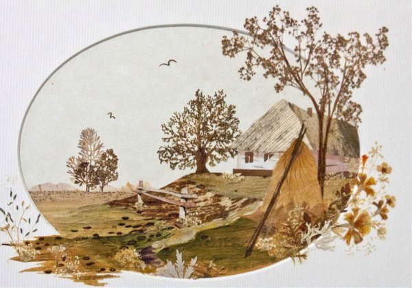 Картины из сухих листьев ошибана