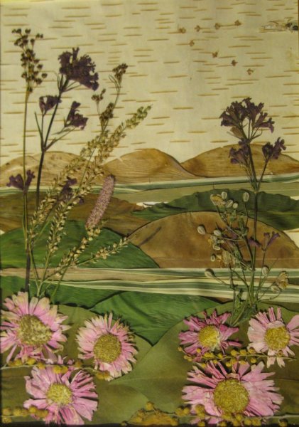 Картины из сушеных цветов и листьев