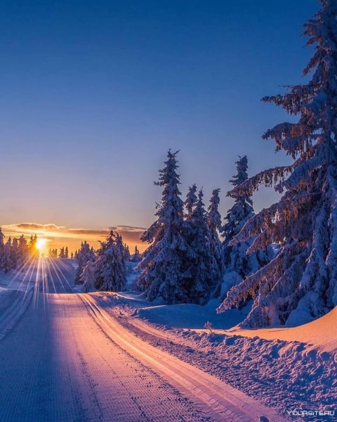 Зимний пейзаж