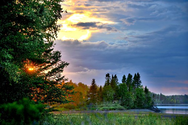 Рассвет в лесу