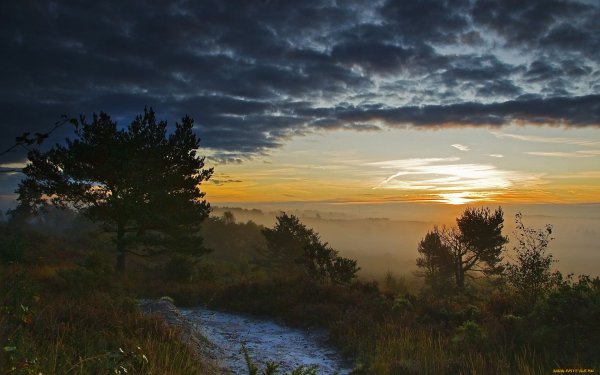 Летние Сумерки пейзаж