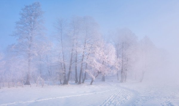 Зимний пейзаж Алексея Угальникова Белоруссия