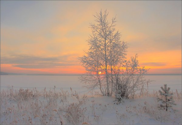 Нежный рассвет зимой