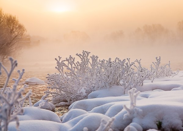 Нежный зимний пейзаж