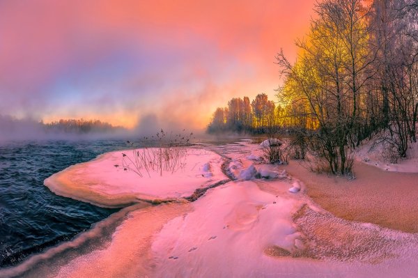 Фёдор Лашков живопись