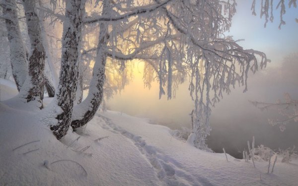 Красота зимы