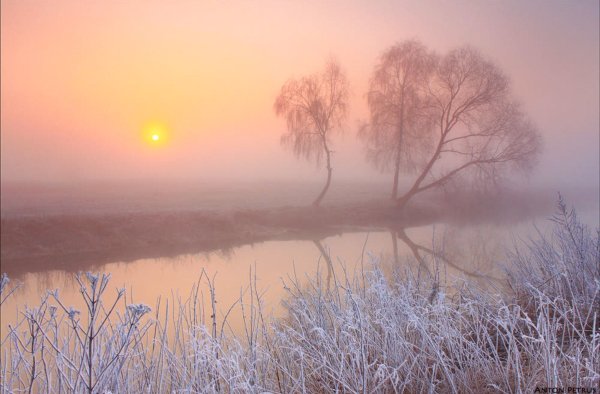 Морозное туманное утро