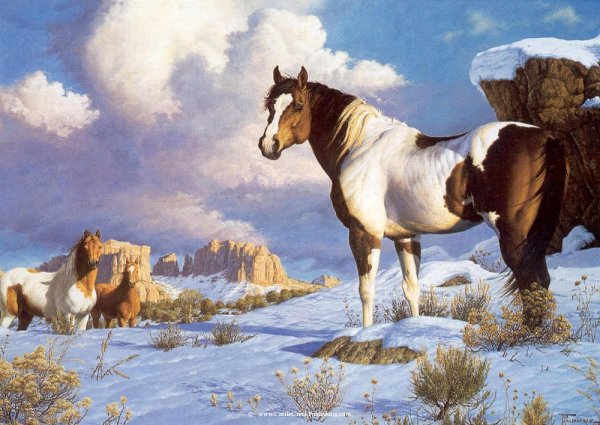 Художник-анималист Mansanarez Tom