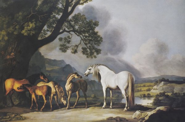 Стаббс художник картины