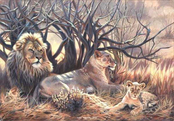 Художник анималист львы