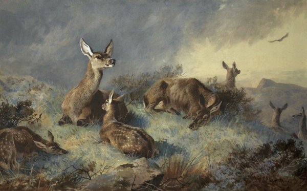 Знаменитые картины анималистов