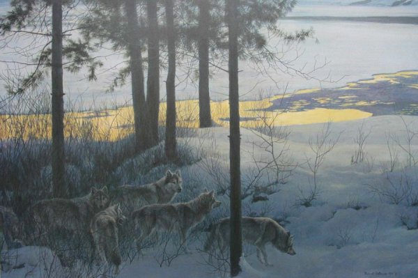 Роберт Бейтман волки